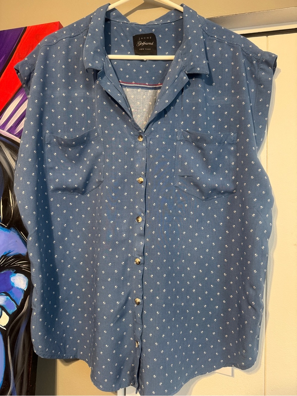 Jachs Girlfriend Blue & White Floral Sleeveless Button-Down XXL